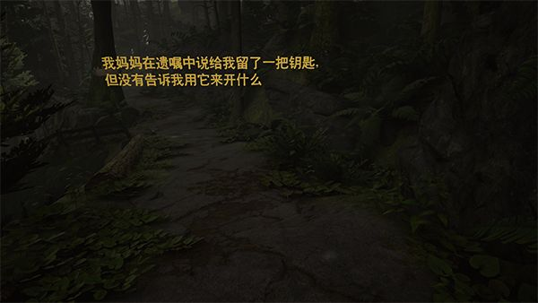 艾迪芬奇的记忆