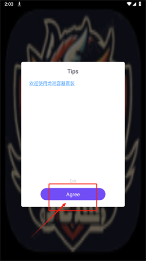 龙巡和平容器