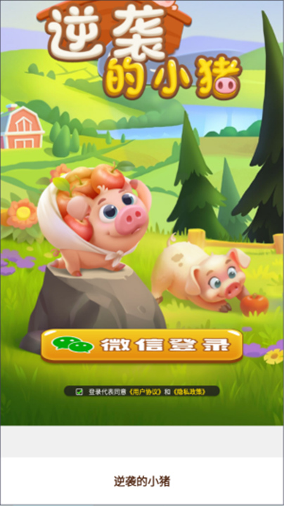 逆袭的小猪