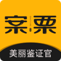 案栗医生