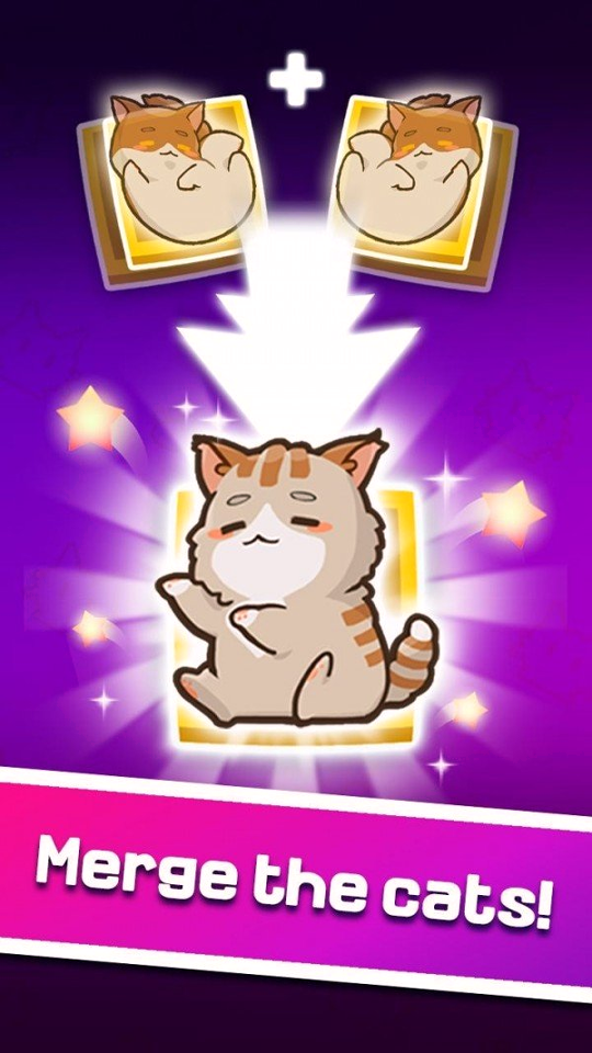 合并猫