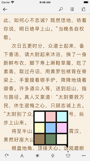 Anyview阅读器