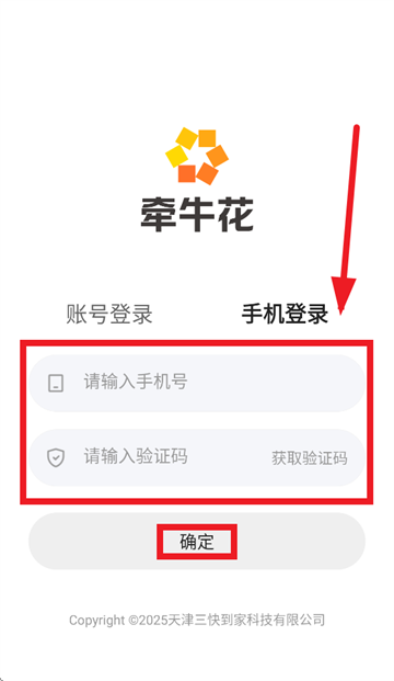 牵牛花