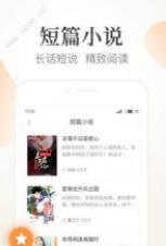 猫番茄小说