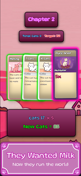 猫咪狂潮