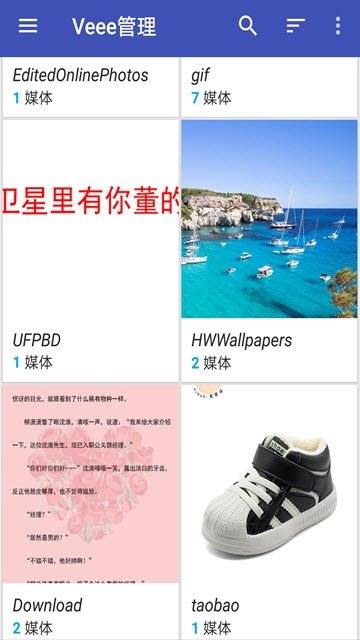 veee管理