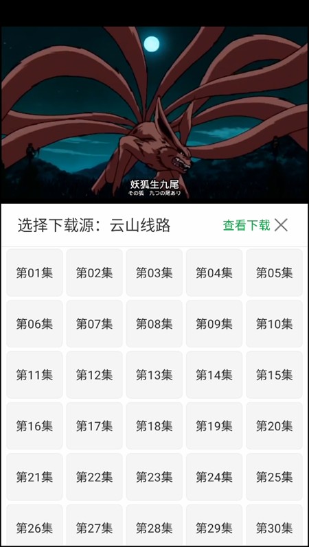 五号动漫