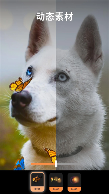 小狐狸动画制作软件