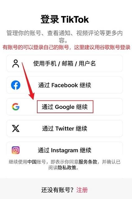 TikTok 国际版