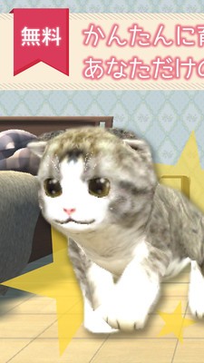 猫养成