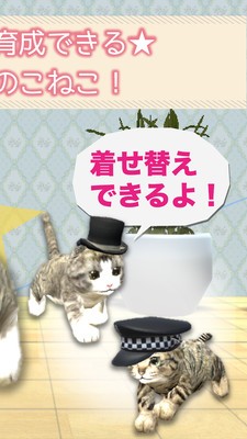 猫养成