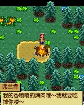宠物王国4白金