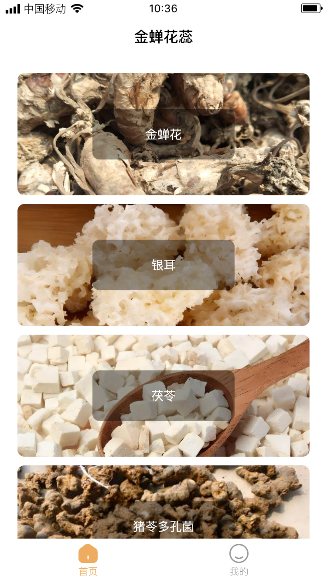 金蝉花蕊