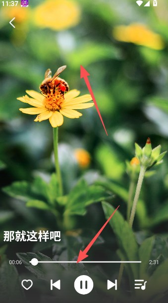 老歌多多音乐