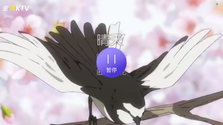 金调KTV