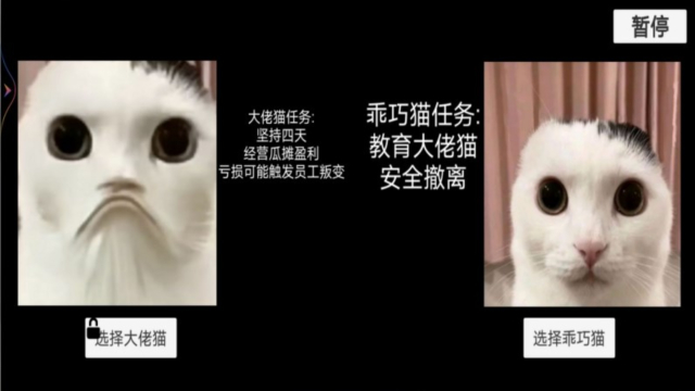 恐怖猫猫惊魂