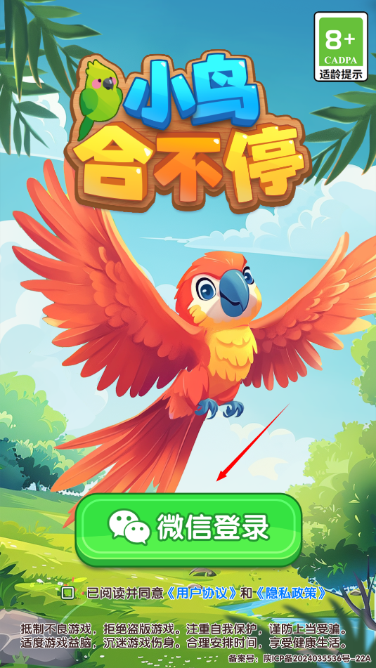 小鸟合不停