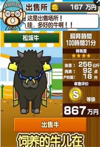养牛场
