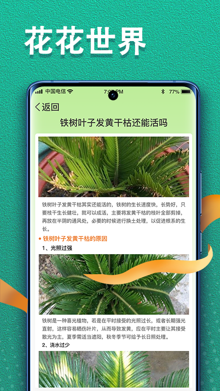 植物视界