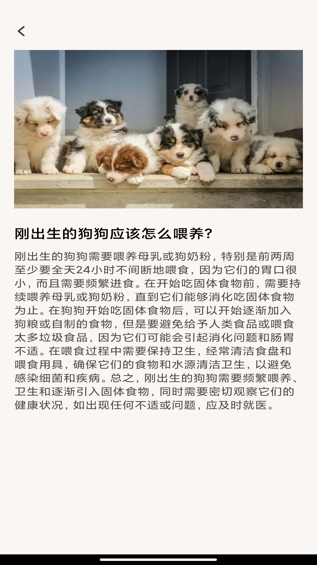 萌宠乐多多