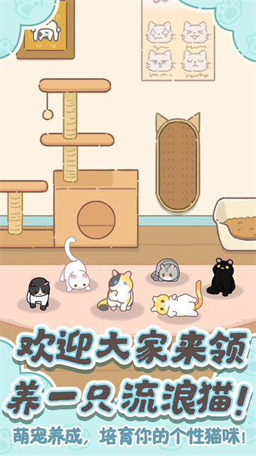 领养一只流浪猫