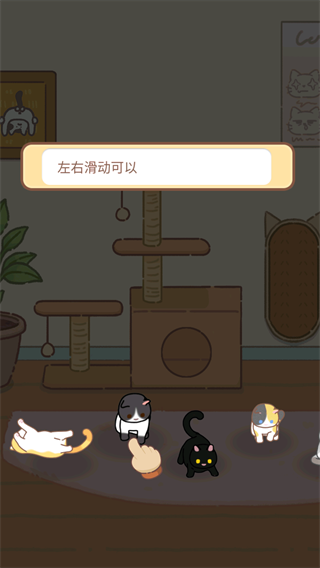 领养一只流浪猫