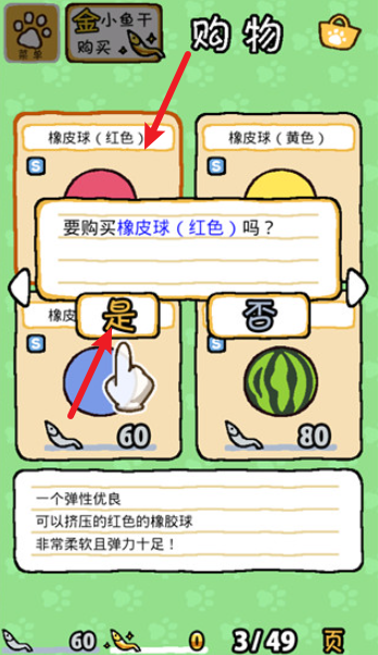 猫咪后院2国际服