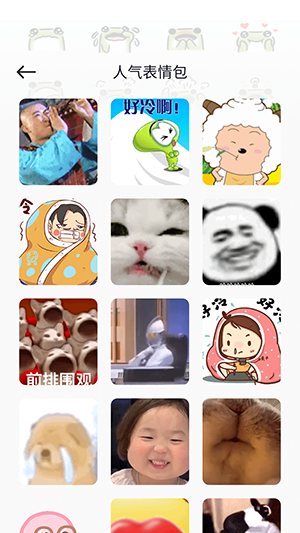 花皮Chat