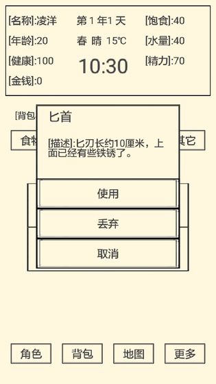 流浪人生2:命运