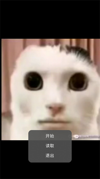 恐怖猫猫惊魂