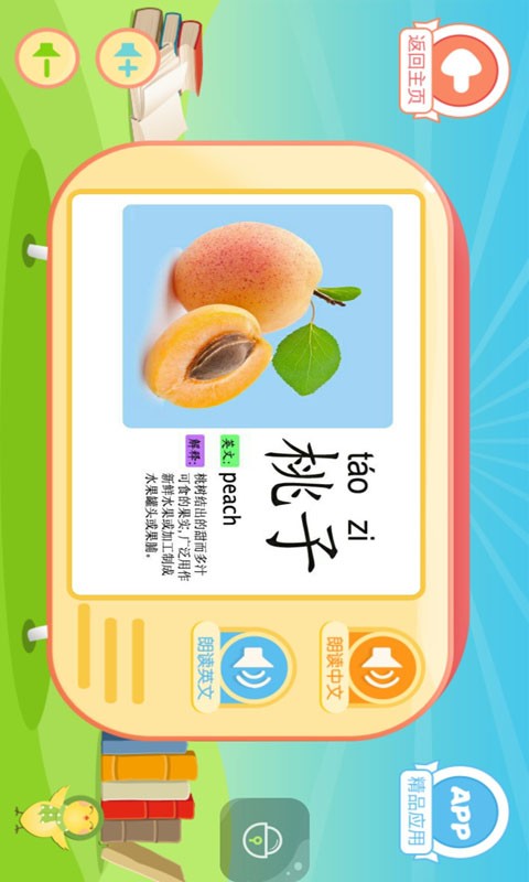 幼儿识图卡片