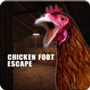 Chicken Feet