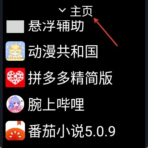 微思应用商店手表版