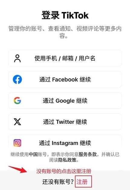 TikTok 国际版