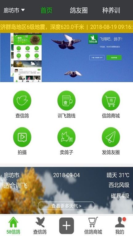 58信鸽