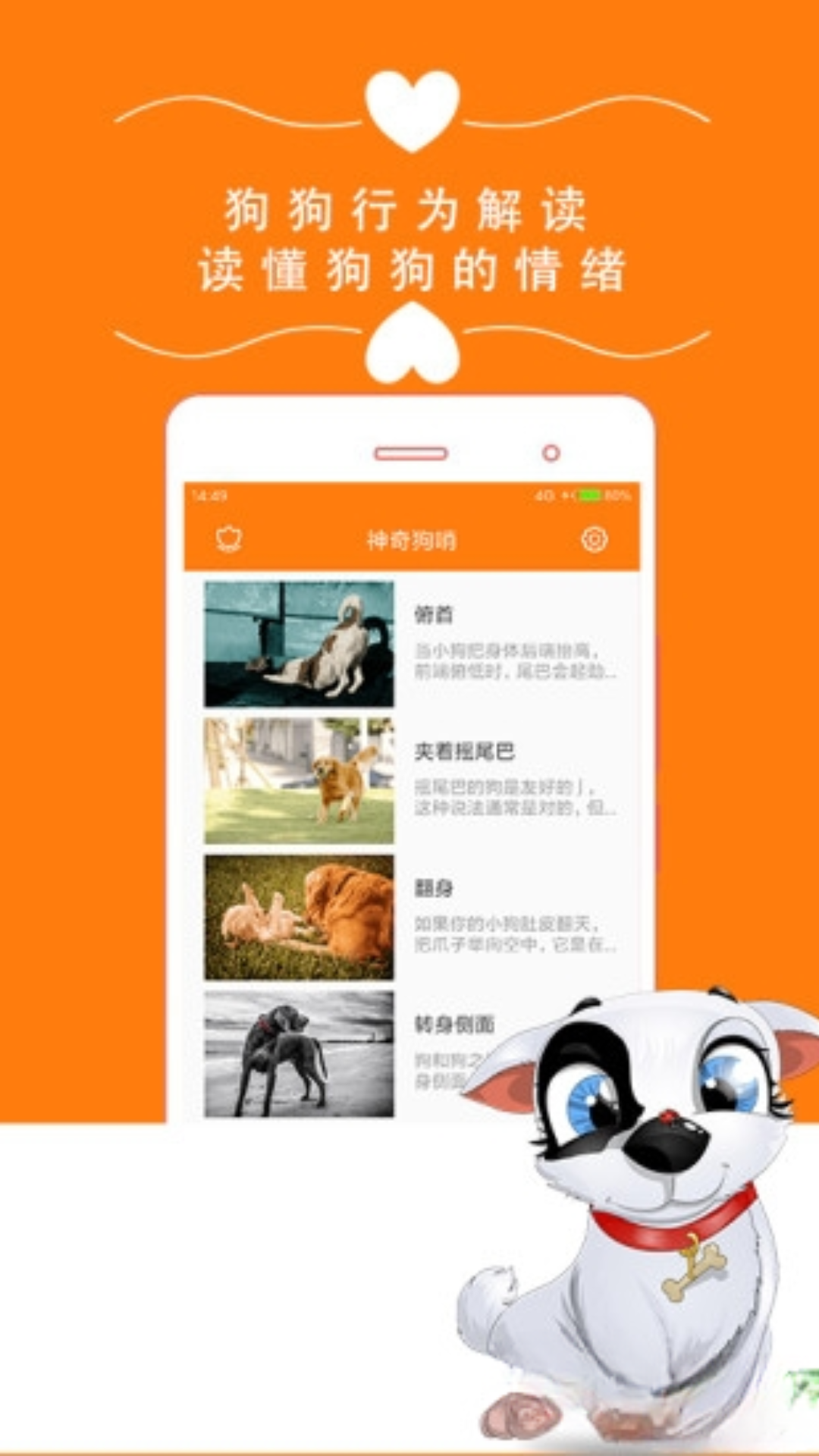 狗狗助手逗狗神器
