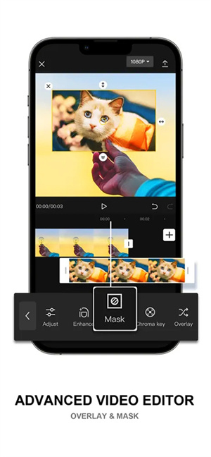 CapCut Pro
