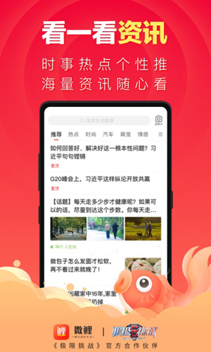 微鲤
