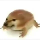 我的刀盾桌宠