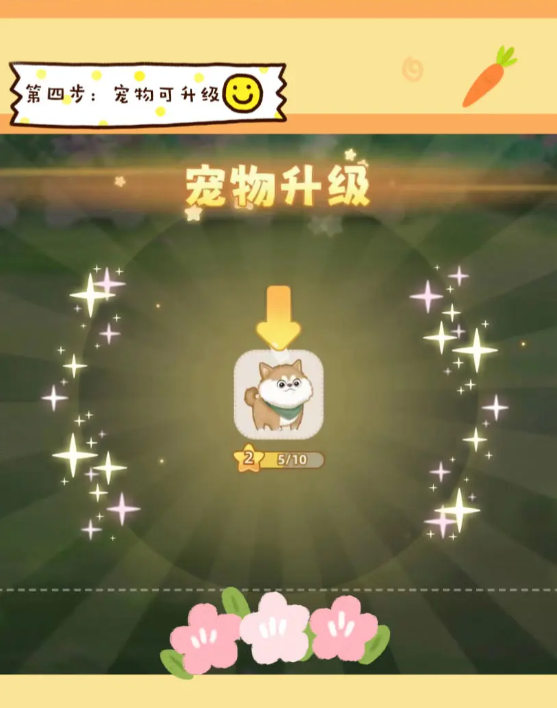 向往的生活