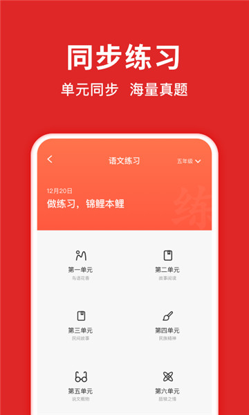 题拍拍app