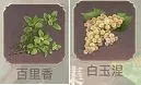 新庄园时代