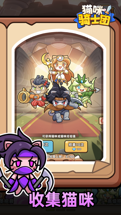 猫咪骑士团