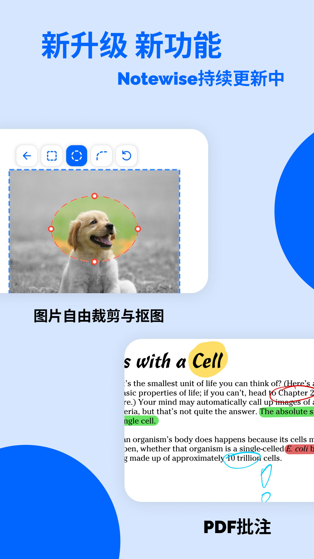Notewise安卓版