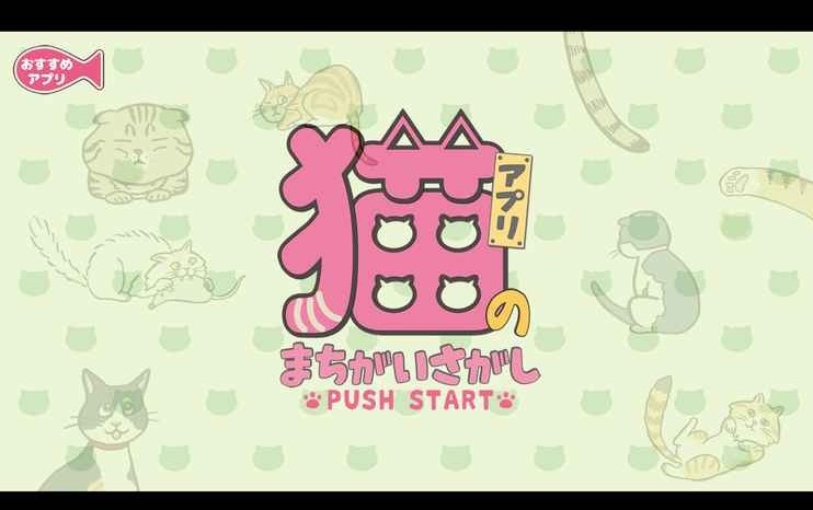 寻找猫的错误