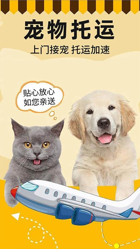 顺丰宠物托运