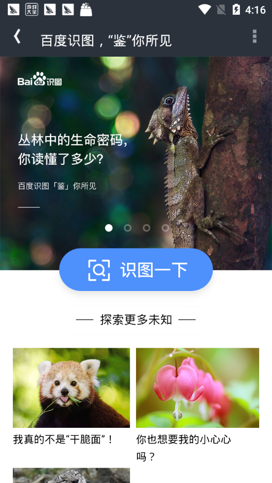 魔盒小工具合集