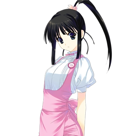 白色相簿2完整版