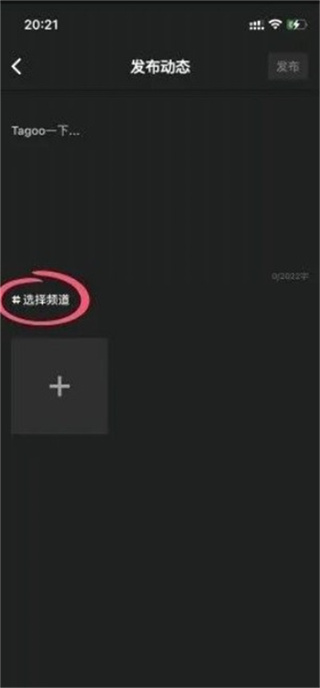 Tagoo闪聊国外版