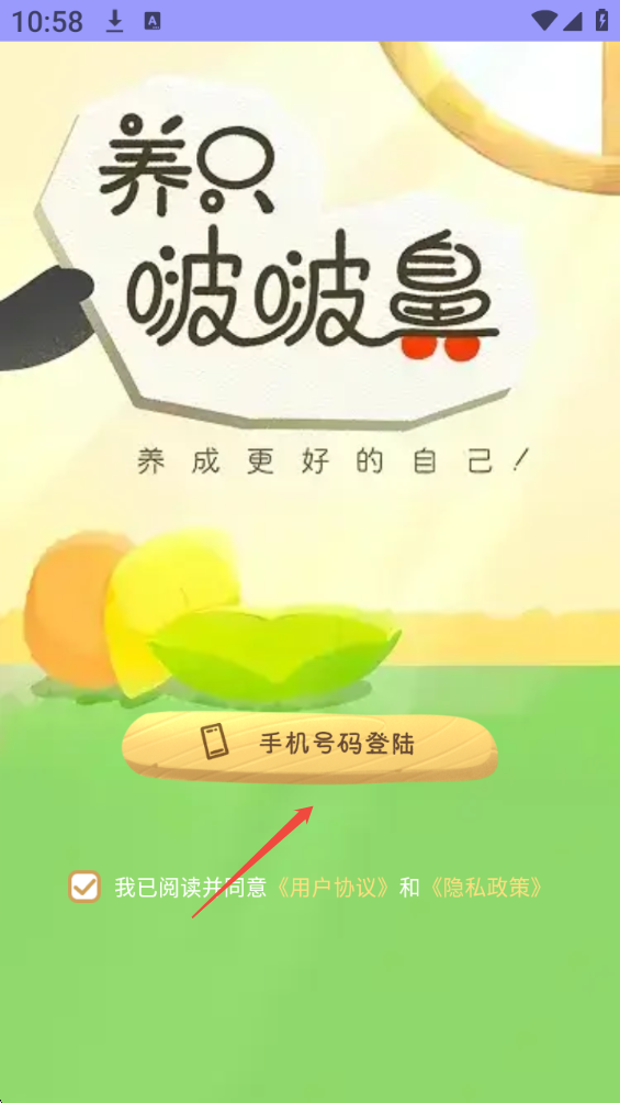 养只啵啵鼻
